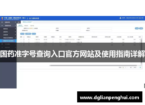 国药准字号查询入口官方网站及使用指南详解