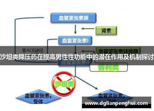 沙坦类降压药在提高男性性功能中的潜在作用及机制探讨